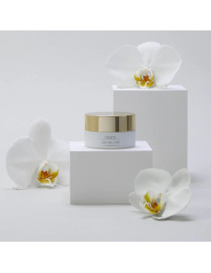 Gerard's GENACTIVE Replenishing cream for eye contour - Подхранващ крем за околоочния контур - 15мл